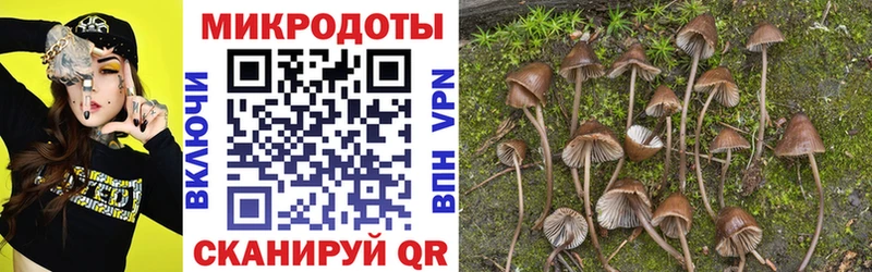 kraken как зайти  купить наркотик  Шали  Галлюциногенные грибы ЛСД 