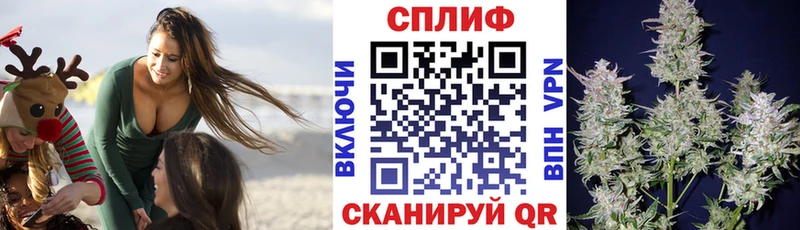 Бошки Шишки марихуана  Шали 